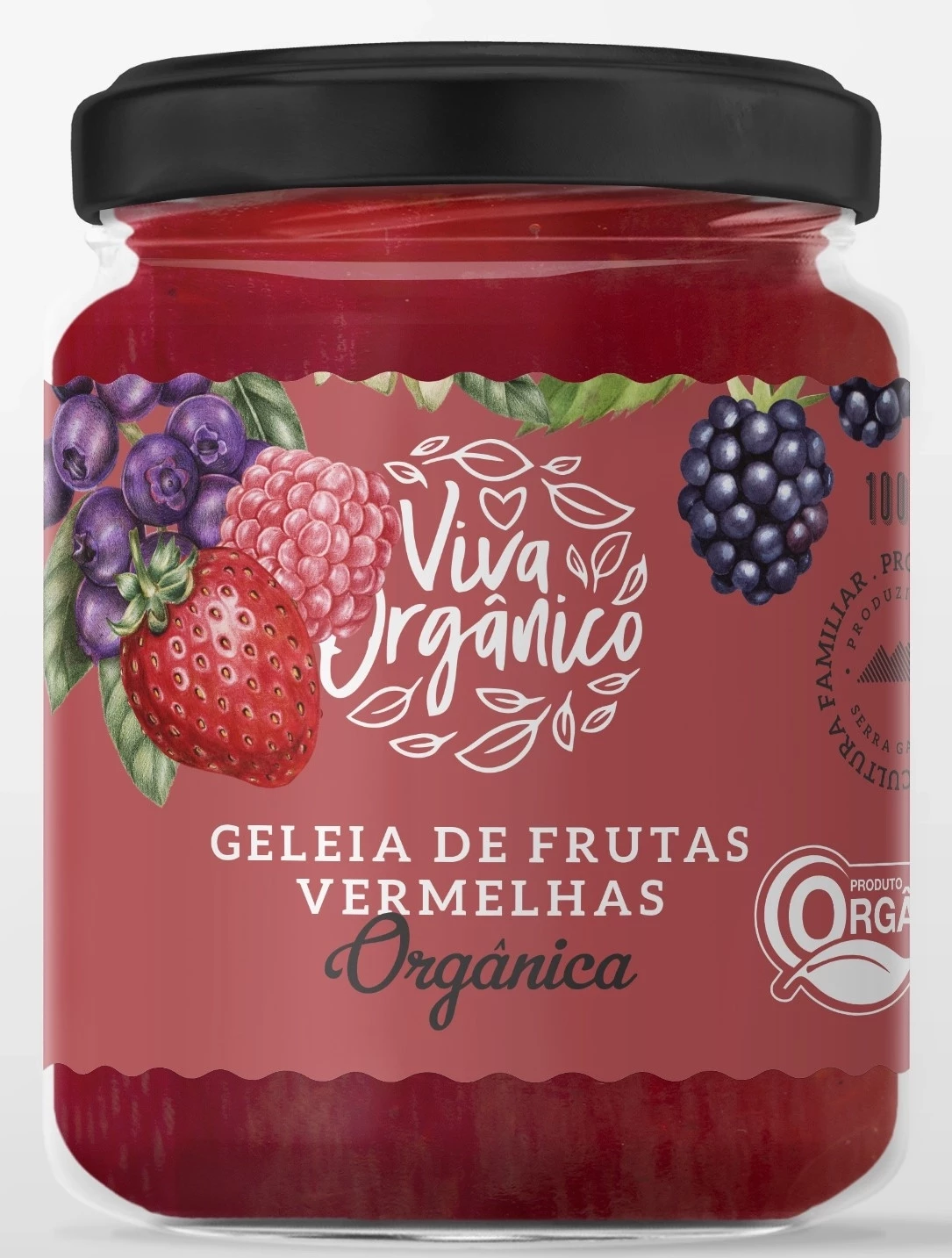  Geleia de Frutas Vermelhas